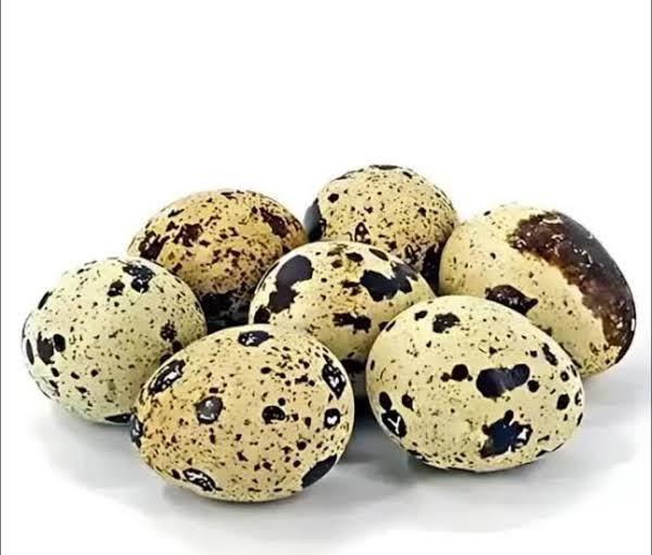 কোয়েলের ডিম