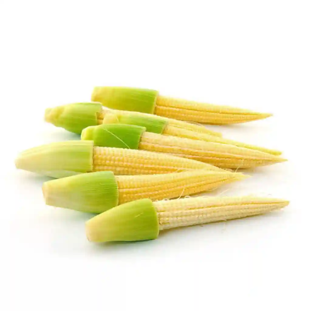 কচি ভুট্টা
