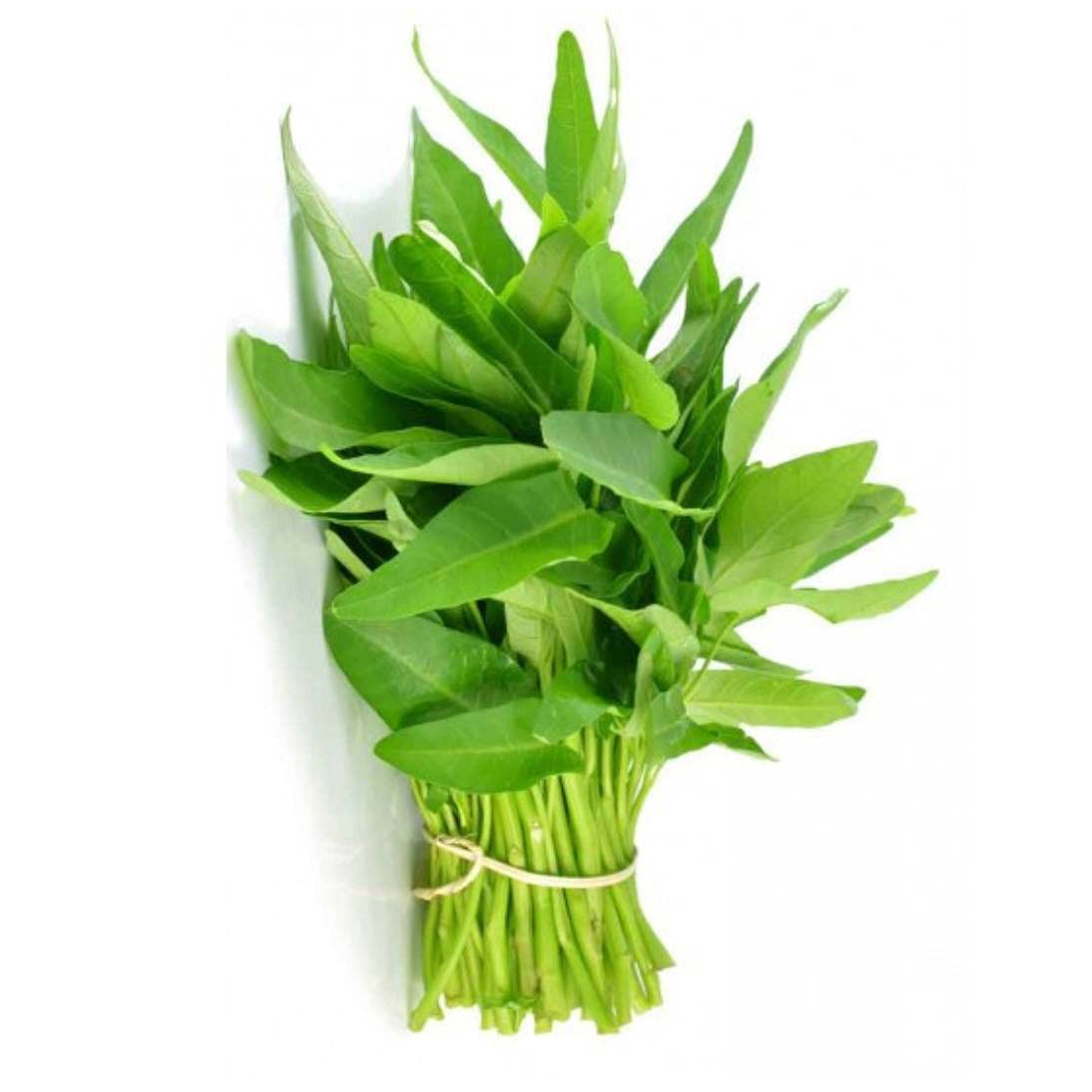 হেলেঞ্চা শাক