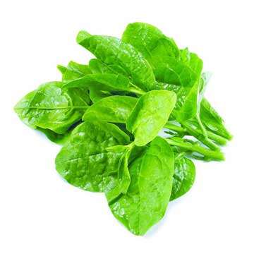 পুঁইশাক