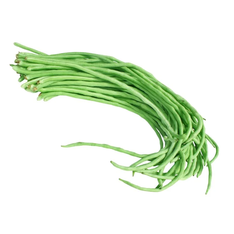 বরবটি
