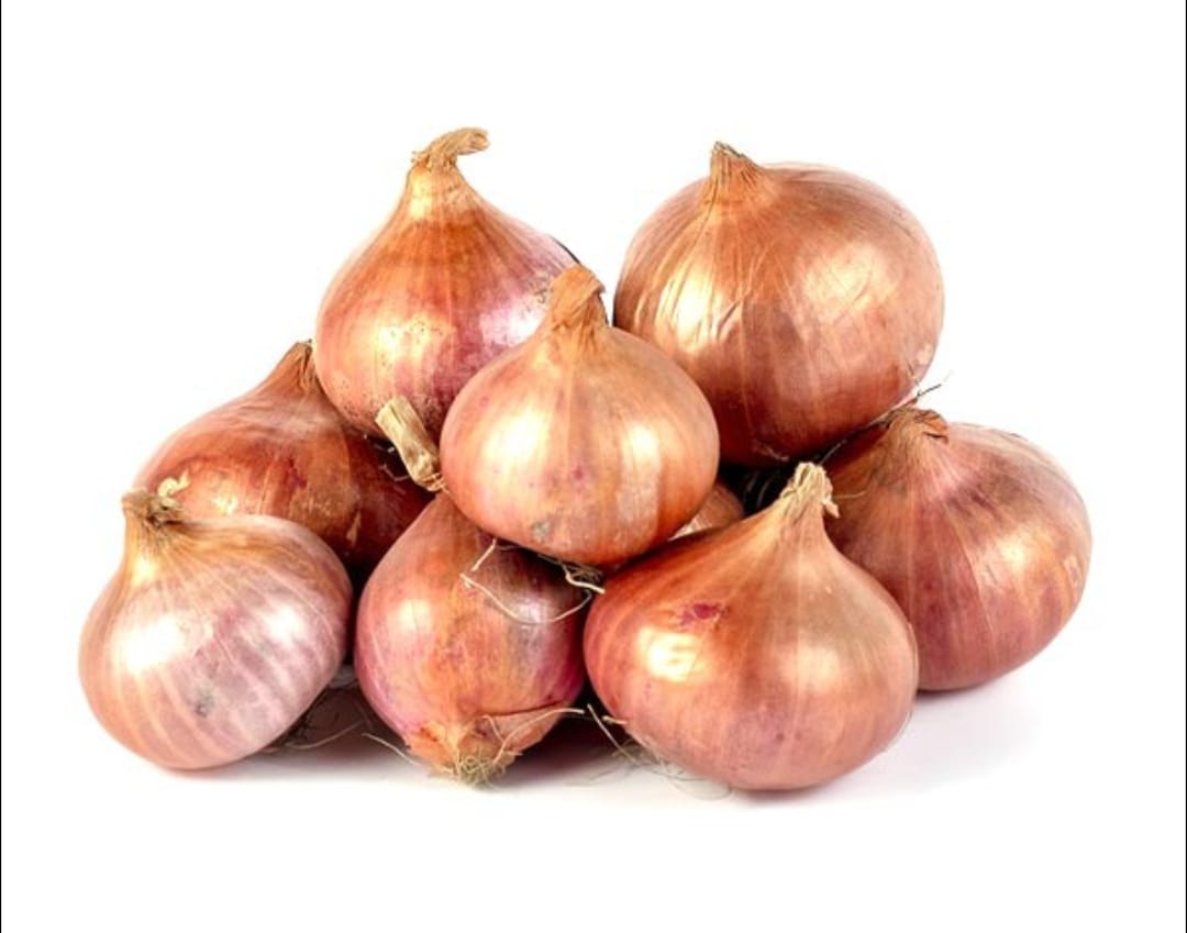 পেঁয়াজ