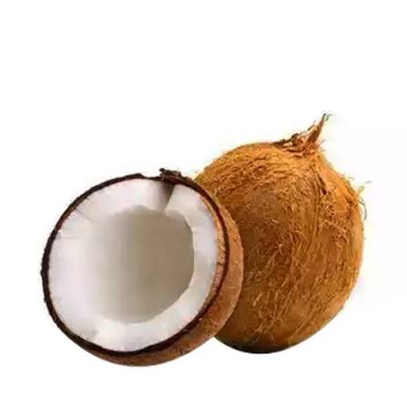 নারিকেল