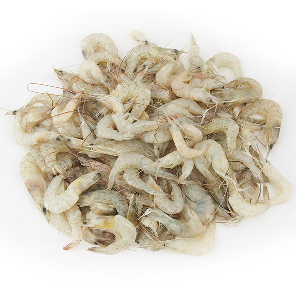 চিংড়ি